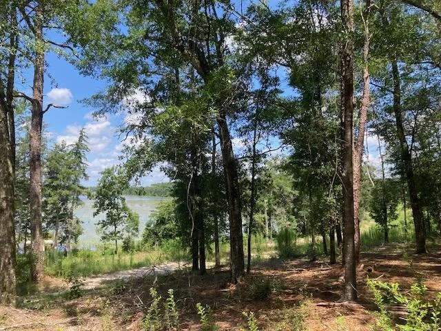 Photo of Lot 30 Holly Lake Court