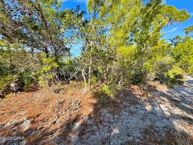 Photo of 5224 Kingston Circle