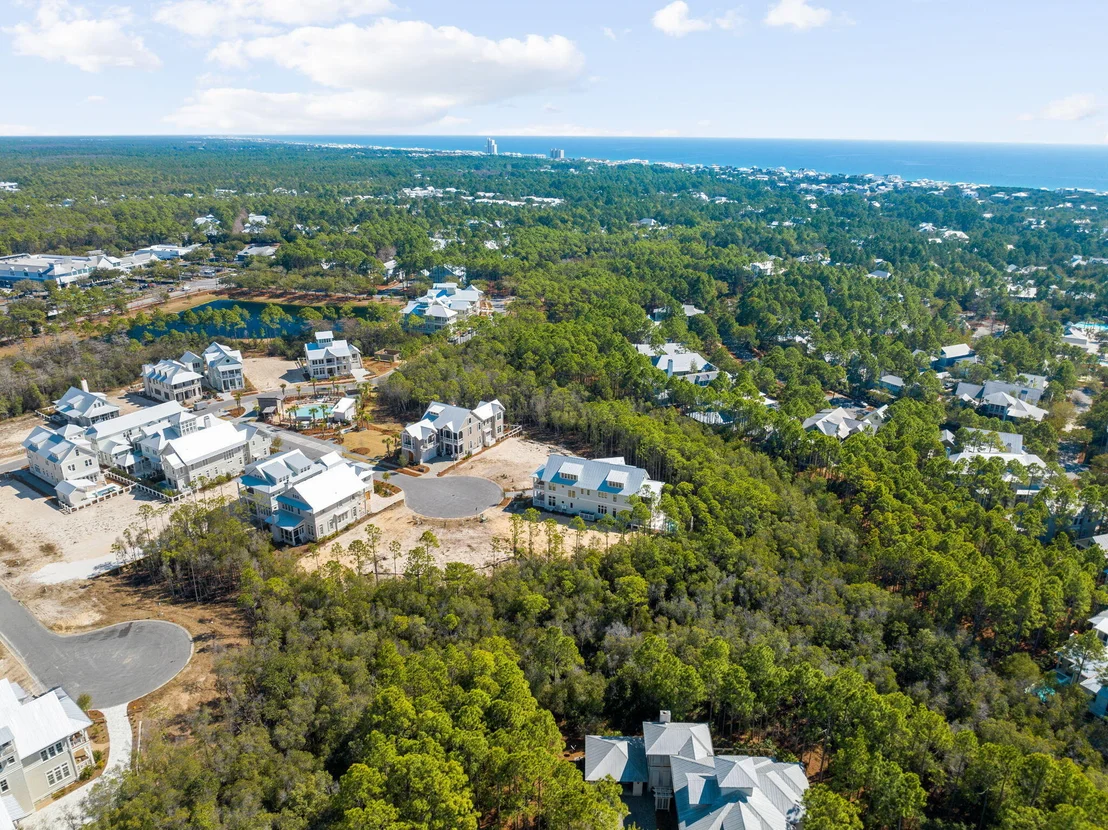 Photo of 72 String Lily Cove