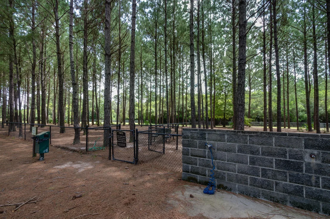 Photo of 155 Lumen Loop