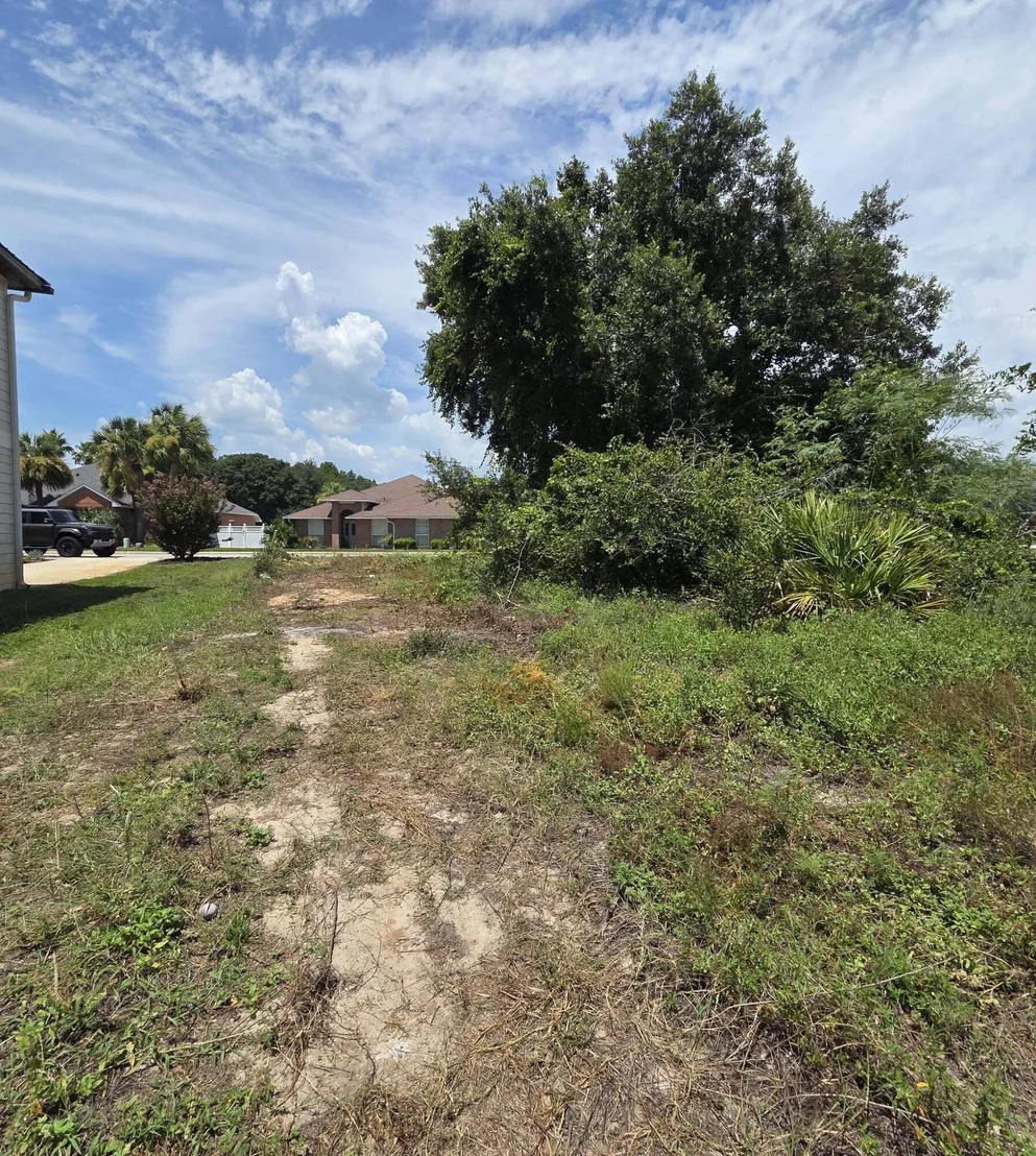 Photo of 1733 Turkey Oak Drive
