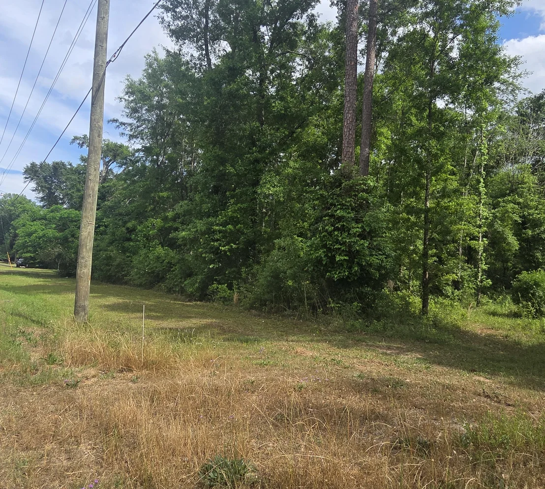 Photo of 2000 Molino Road