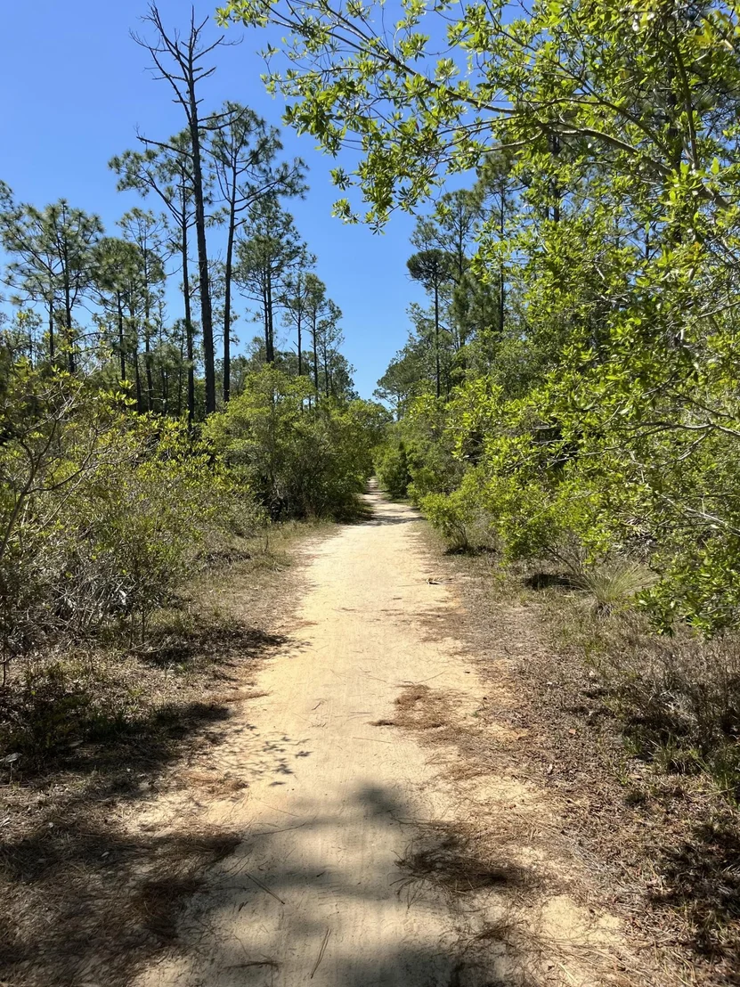 Photo of 305 Flatwoods Forest Loop