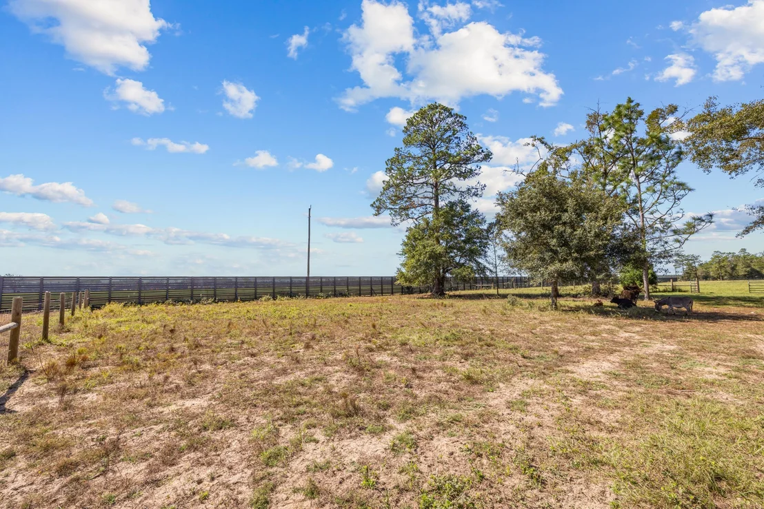 Photo of 13796 FL-81
