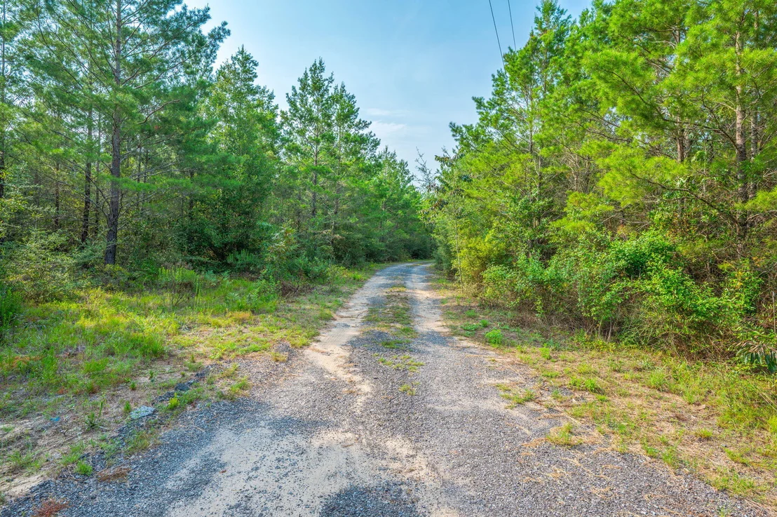 Photo of 11689 Outlook Road