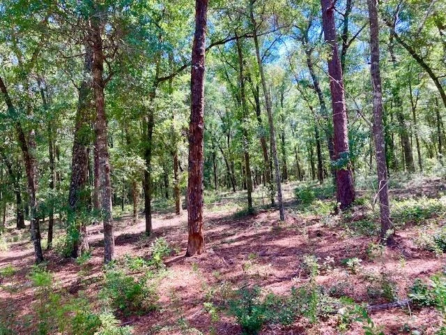Photo of Lot 30 Holly Lake Court