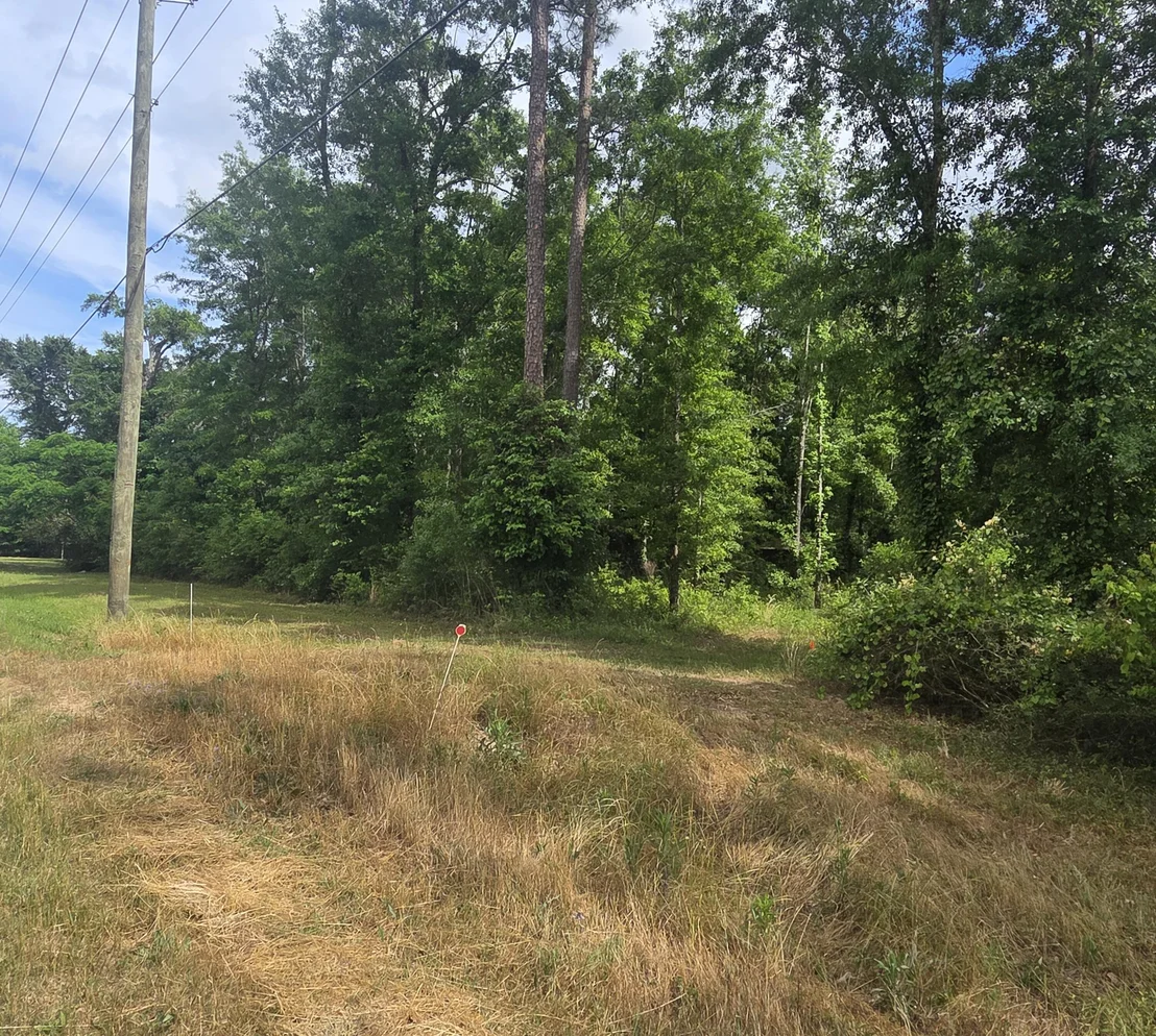 Photo of 2000 Molino Road