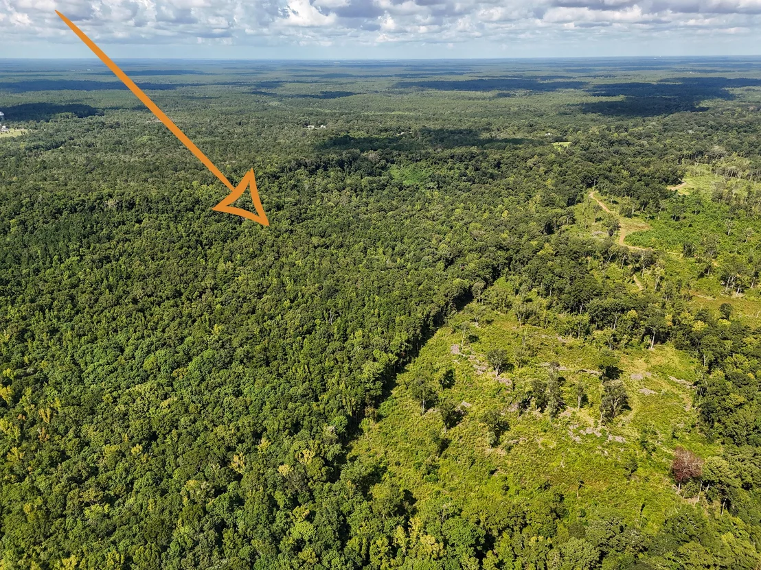 Photo of 40 Acres Mossy Bend Road