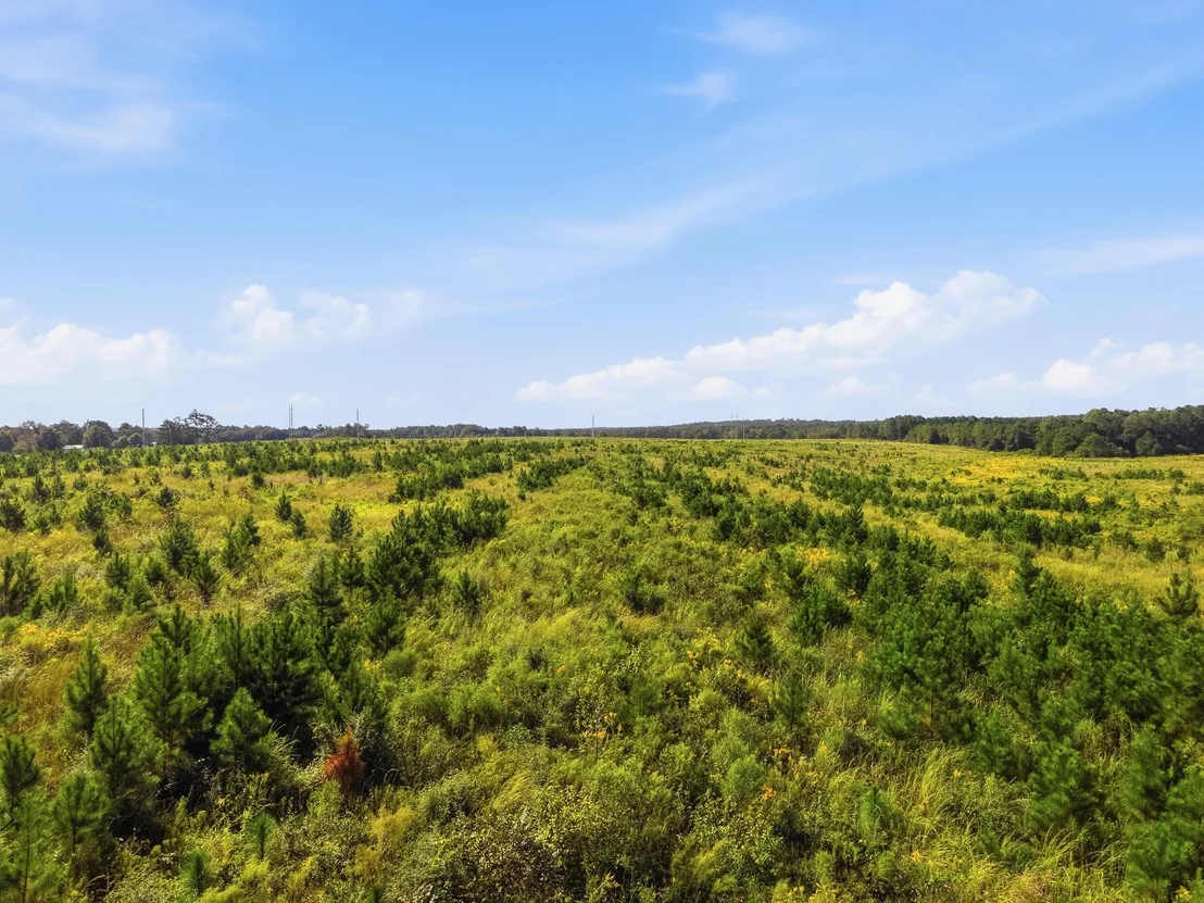 Photo of 10 Acres I Davidson Road
