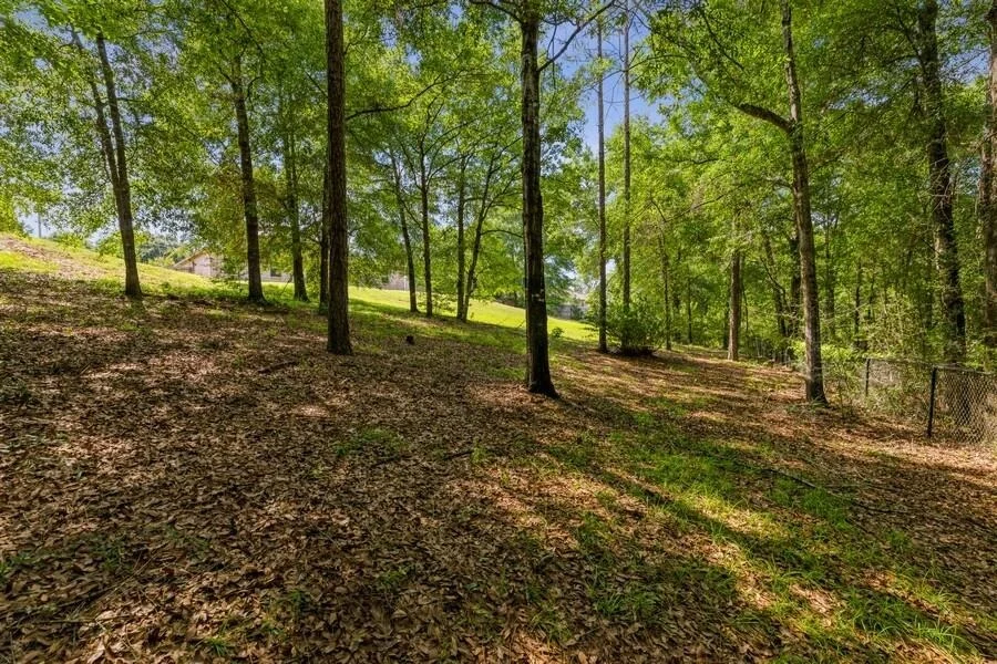 Photo of 6229 Flash Lane