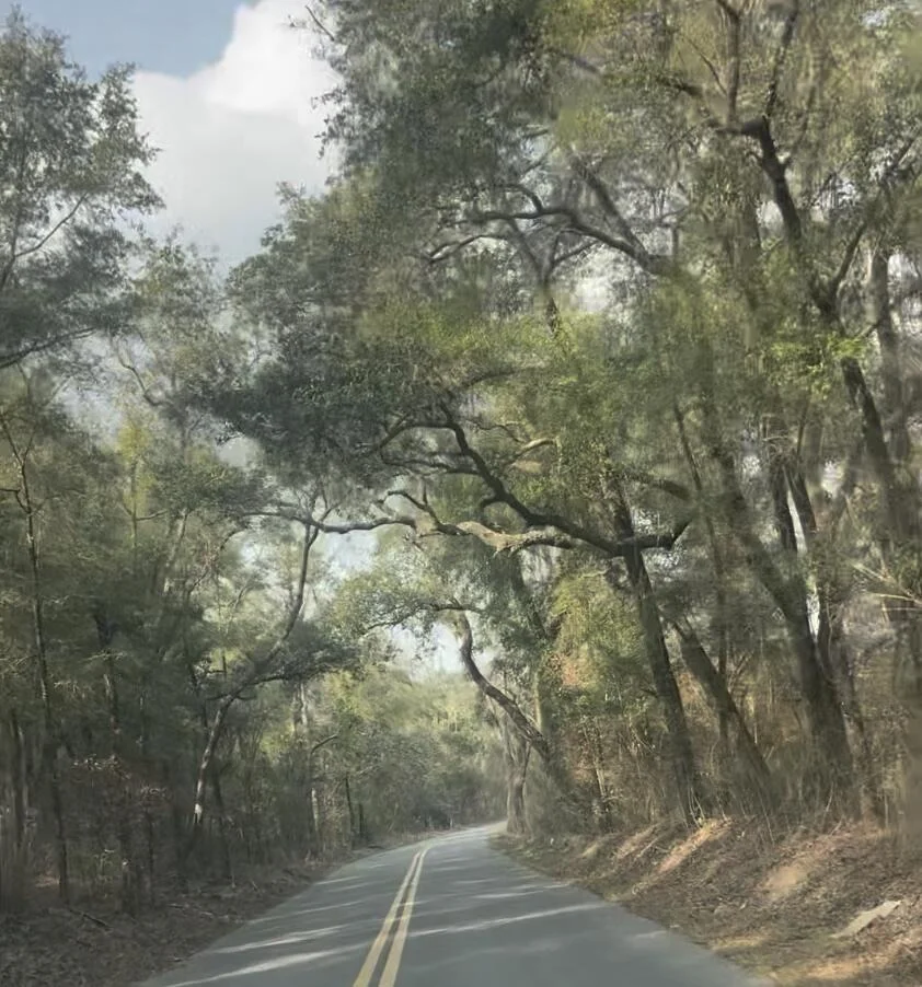 Photo of 1 Pine Log Road