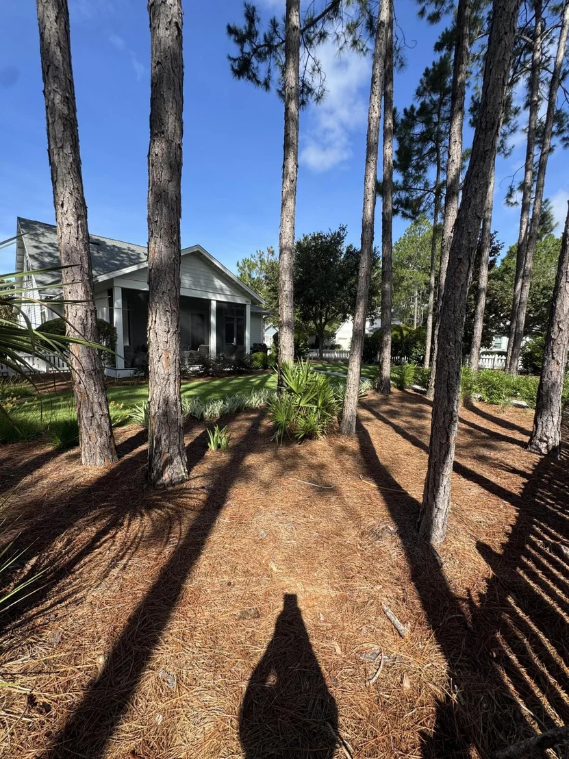 Photo of 360 Jack Knife Drive