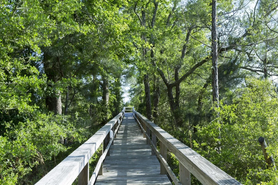 Photo of Lot 71 Harbour Trace
