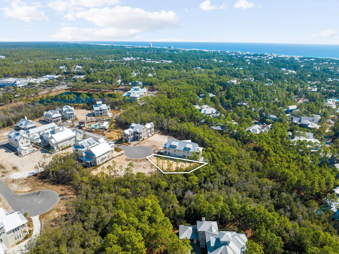Photo of 72 String Lily Cove