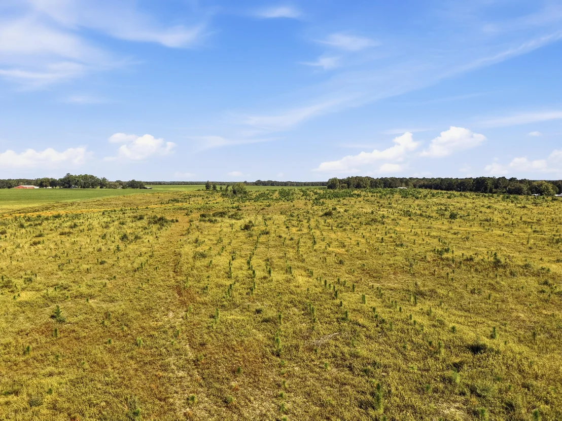 Photo of 10 Acres I Davidson Road