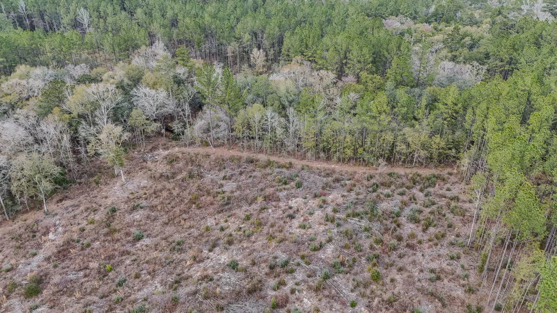 Photo of 4769 DAVIS RD