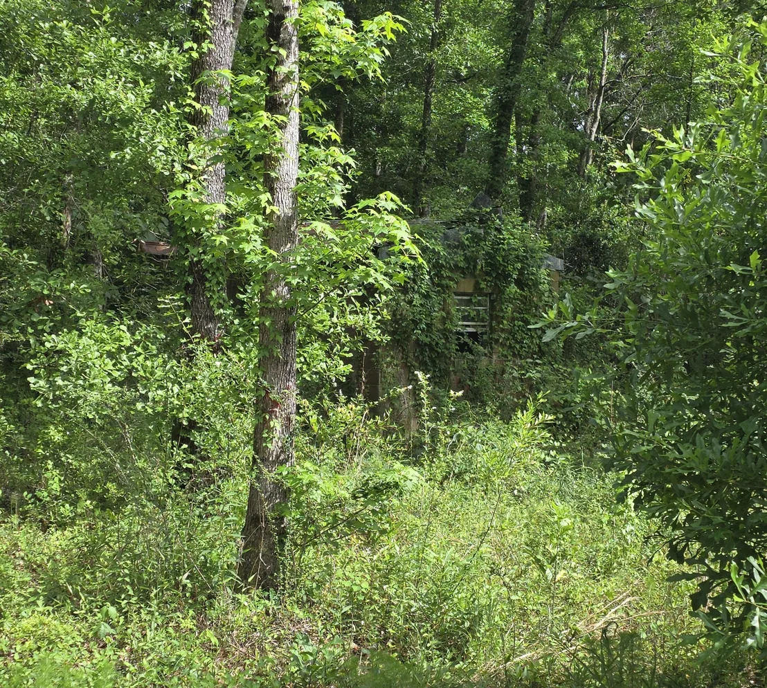 Photo of 2000 Molino Road
