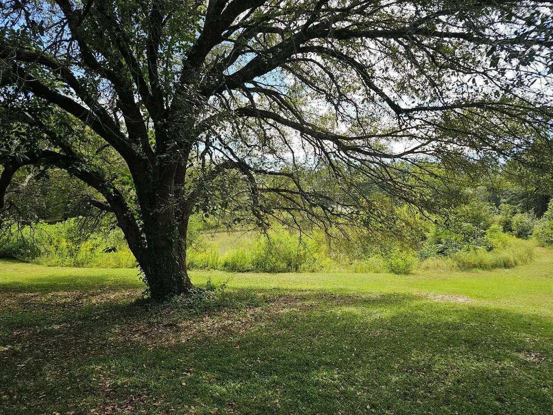 Photo of Unit LOT21D at 5423 E Brook Drive