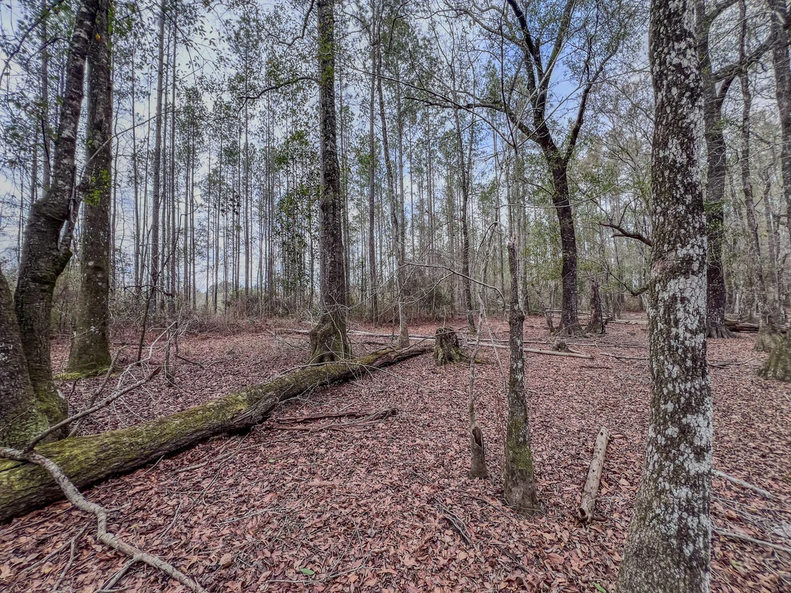 Photo of 4769 DAVIS RD