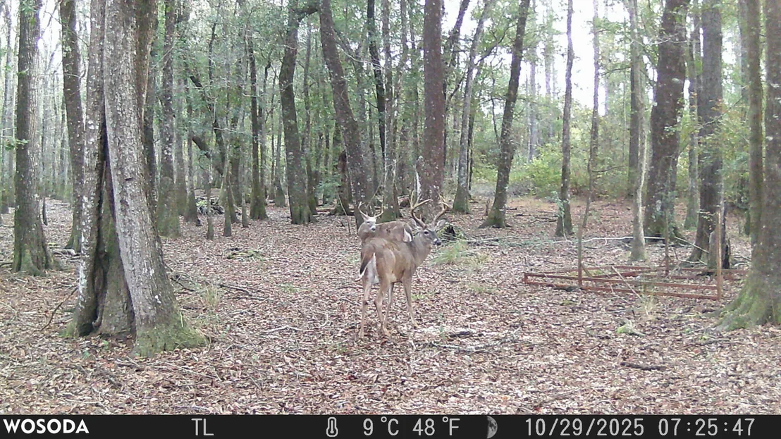 Photo of 4769 DAVIS RD