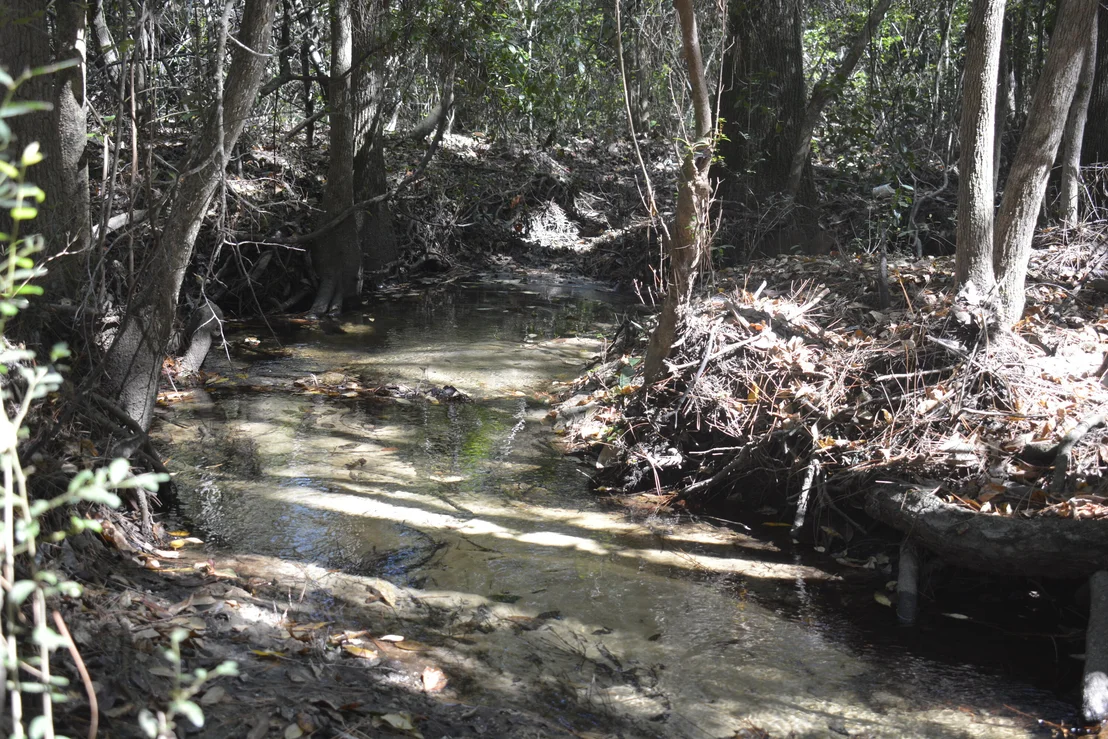 Photo of 2928 Aplin (33 ac.) Road