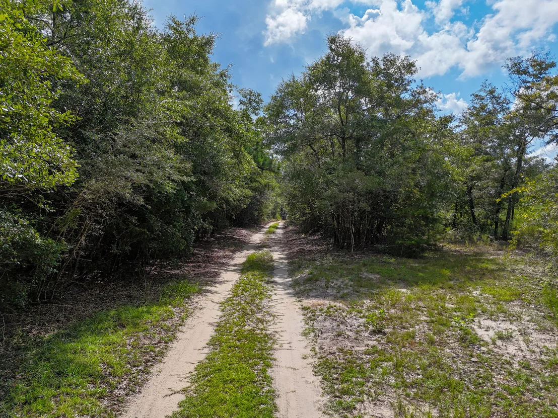 Photo of 40 Acres Mossy Bend Road