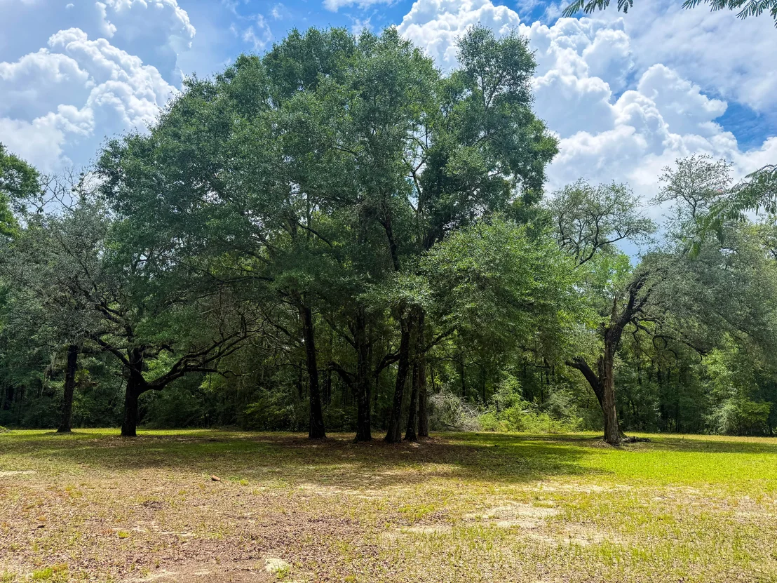 Photo of 5703 Old River Road
