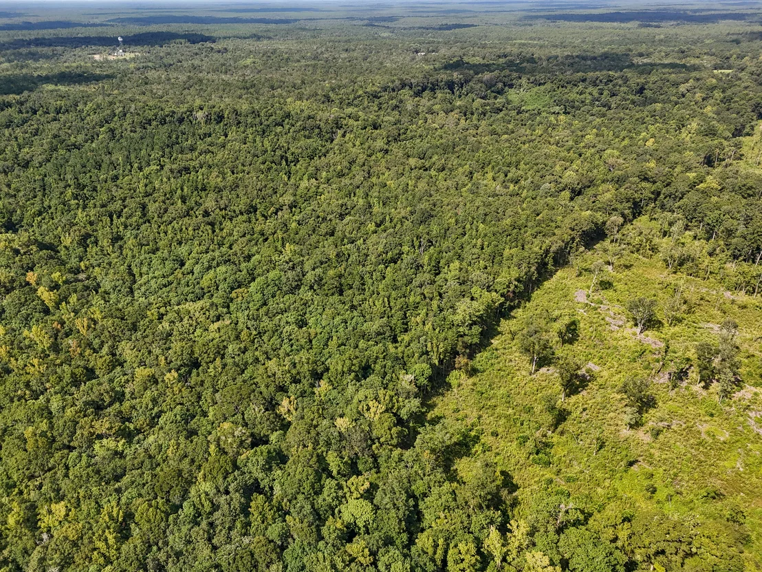 Photo of 40 Acres Mossy Bend Road