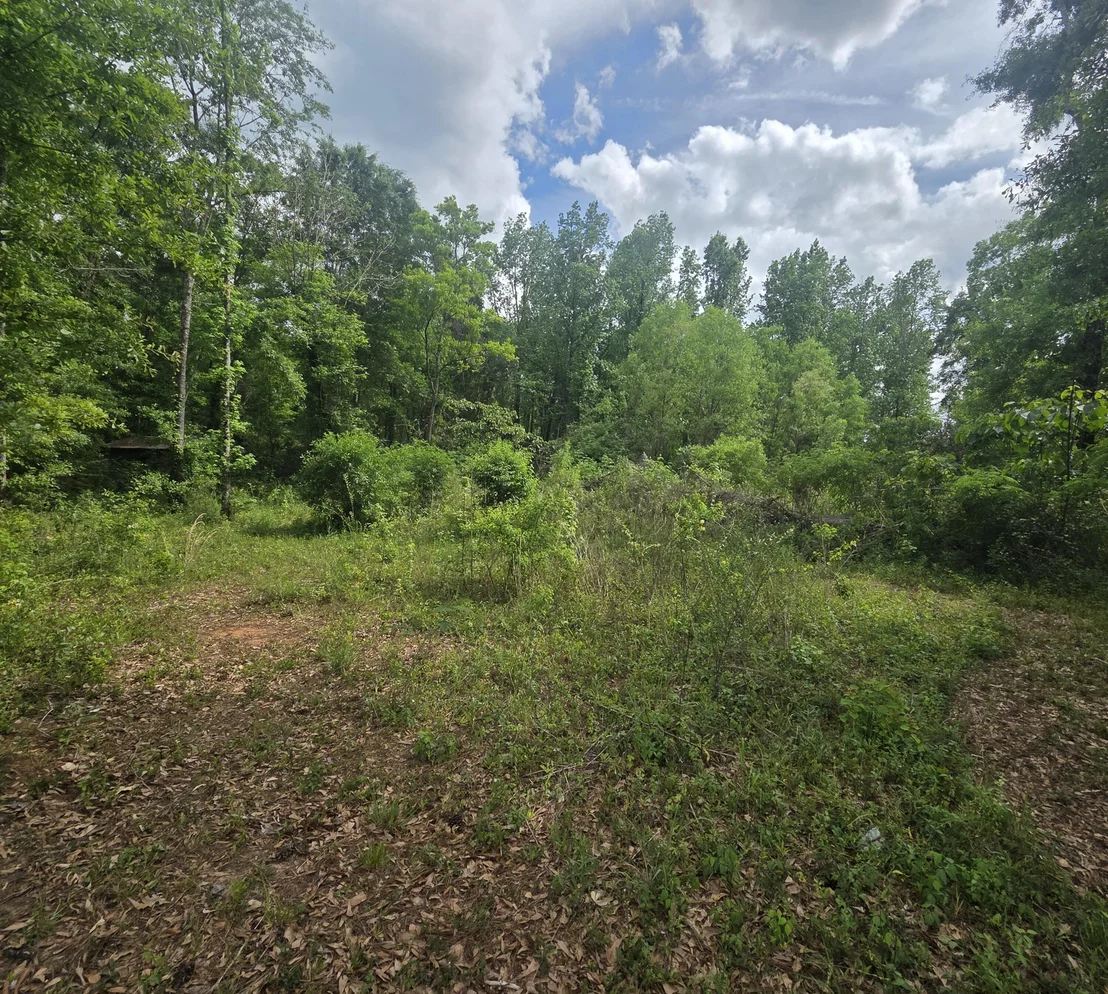 Photo of 2000 Molino Road
