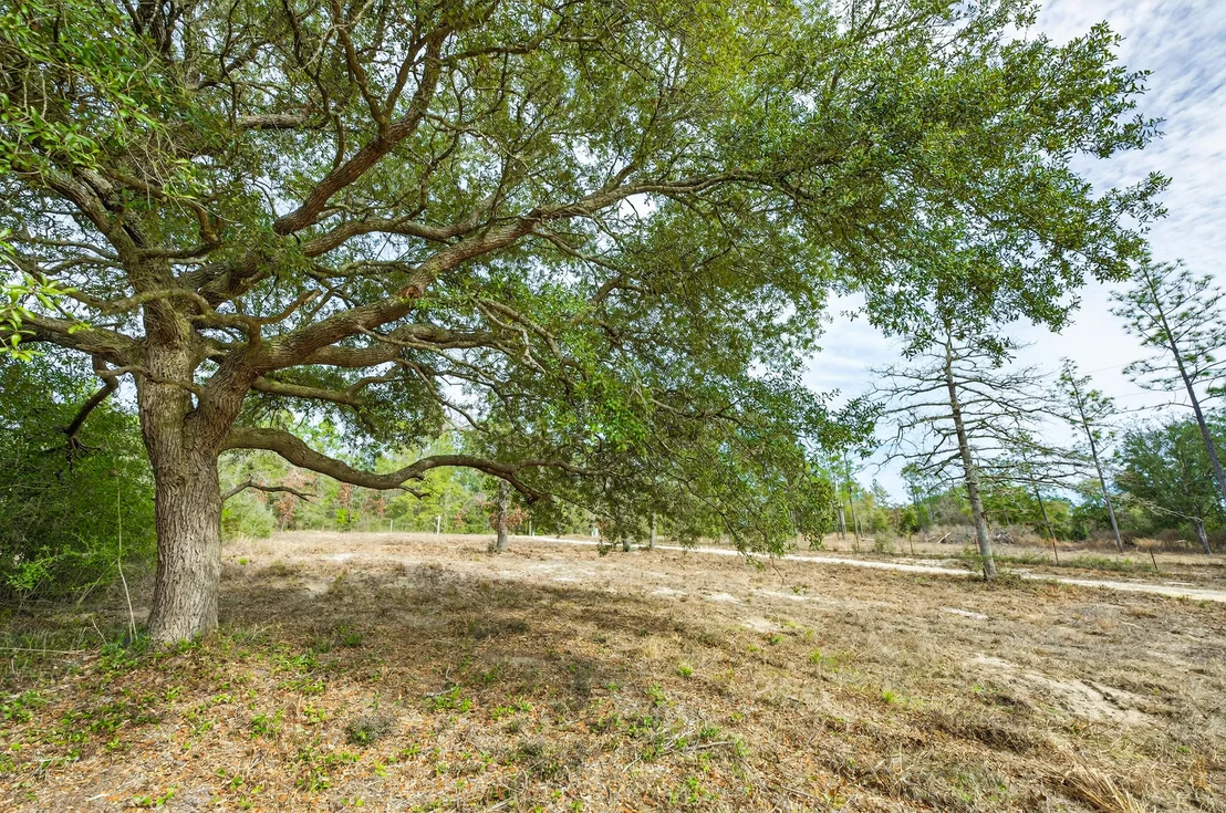 Photo of 3842 Bear Head Road