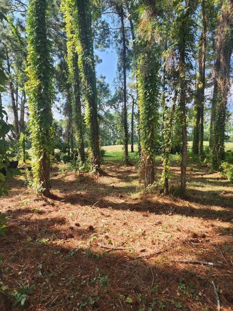 Photo of 144 Indigo Loop