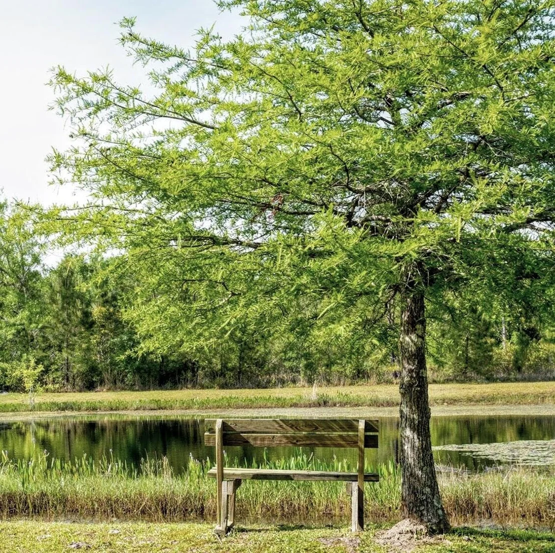 Photo of Lot 108 Bay Harbour Boulevard