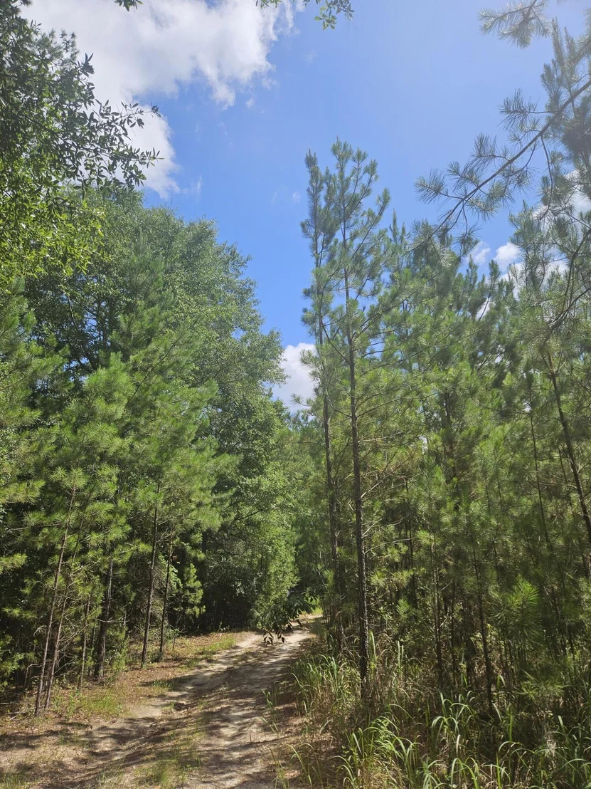 Photo of 1087 Brake Road