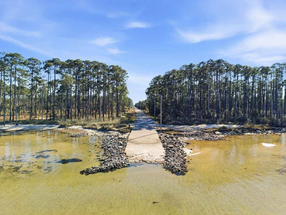 Photo of 48 Pine Tree Way