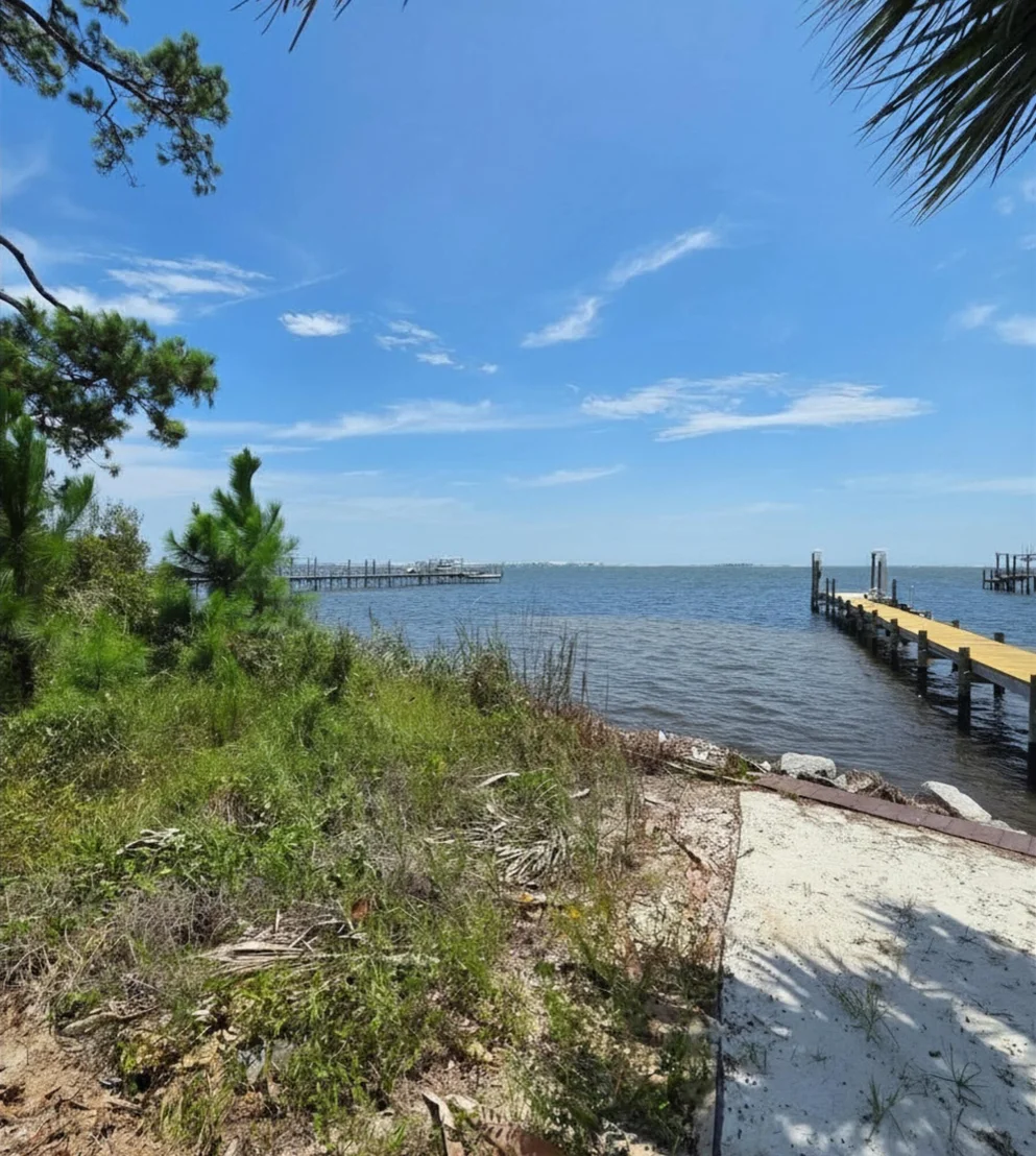 Photo of 1733 Turkey Oak Drive