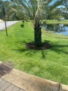 Photo of Lot 29 Shelley South Way