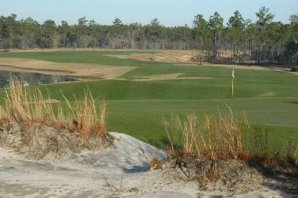 Photo of Lot 23 Brushed Dune Circle