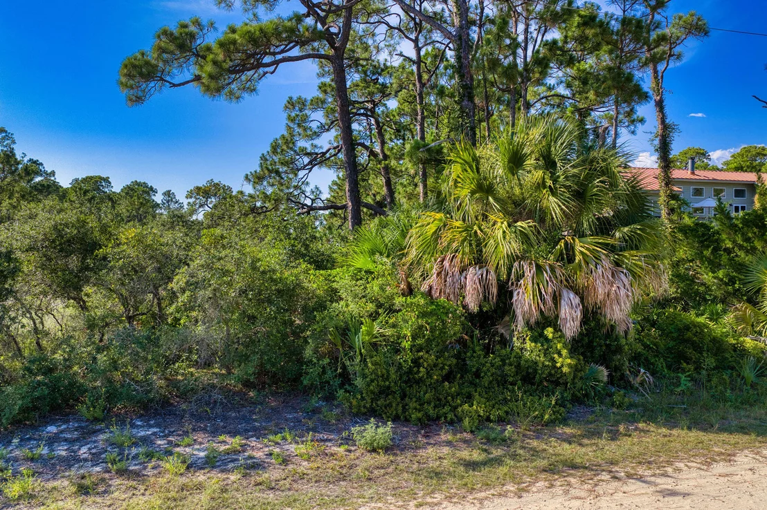 Photo of 981 W Bayshore Drive