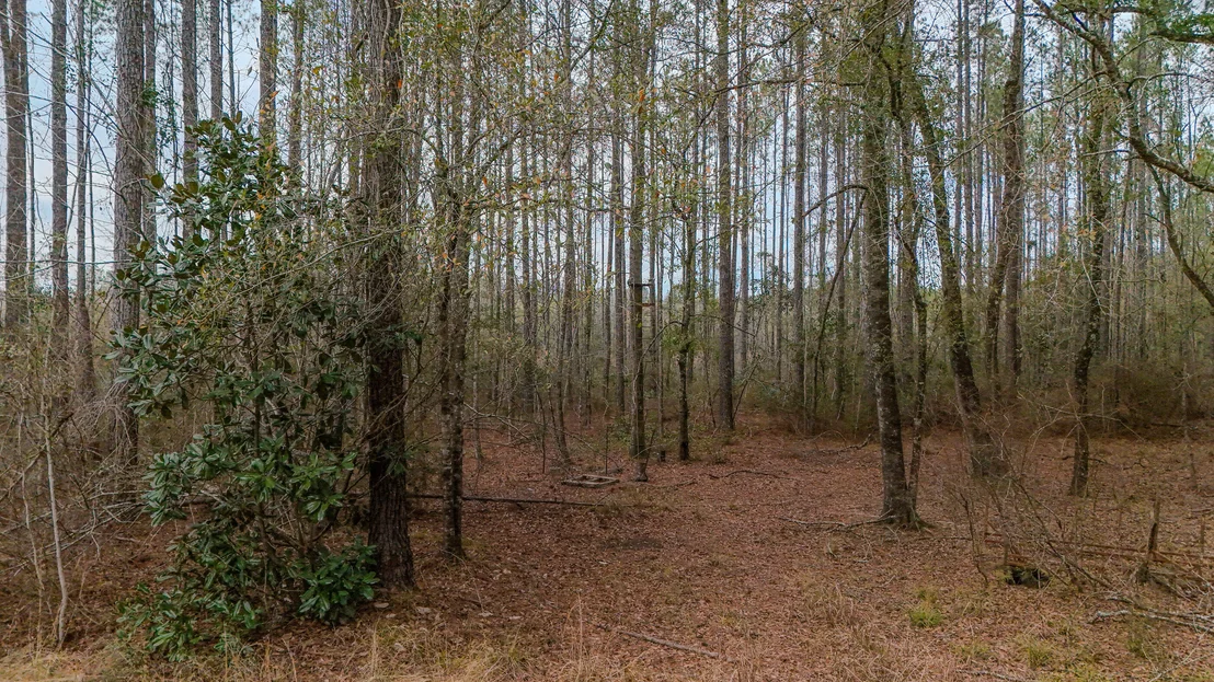 Photo of 4769 DAVIS RD