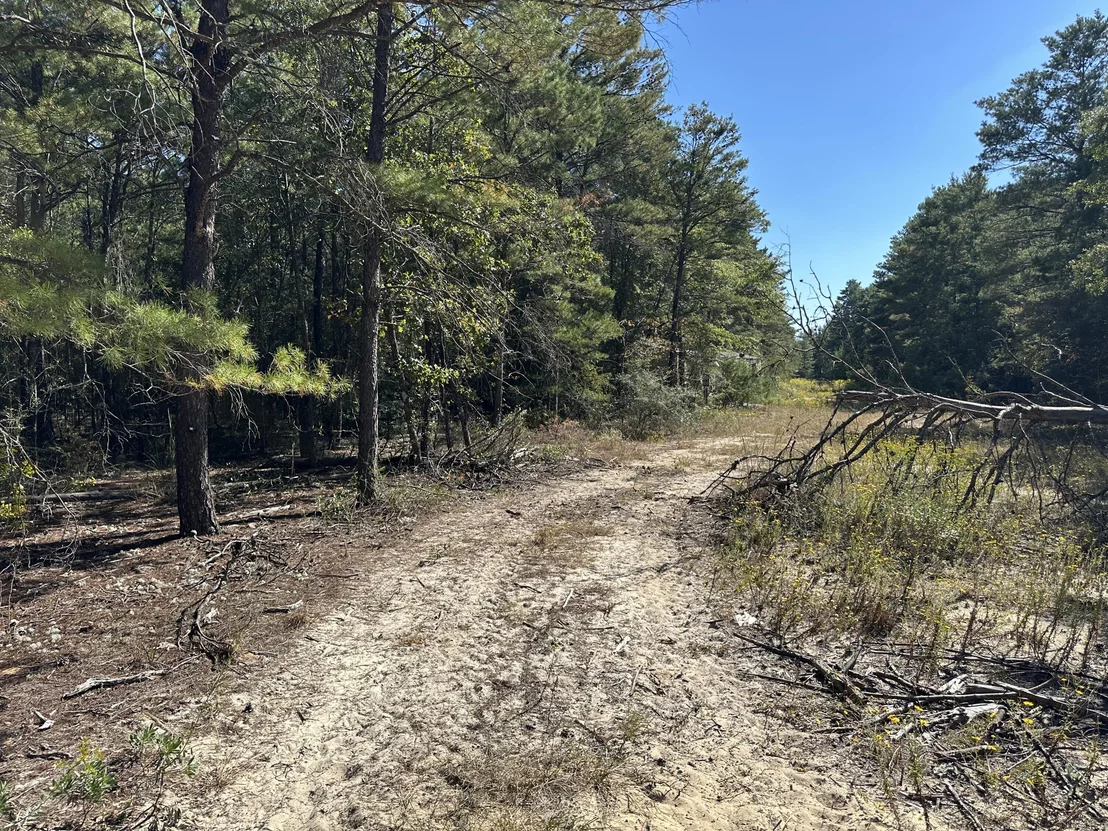 Photo of 134 Post Oak Road