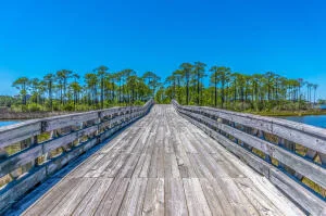 Photo of 2011 Pine Island Circle