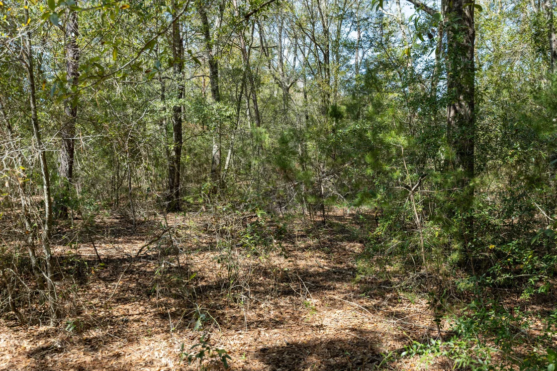 Photo of Lot C .63 Acres on Walton Road