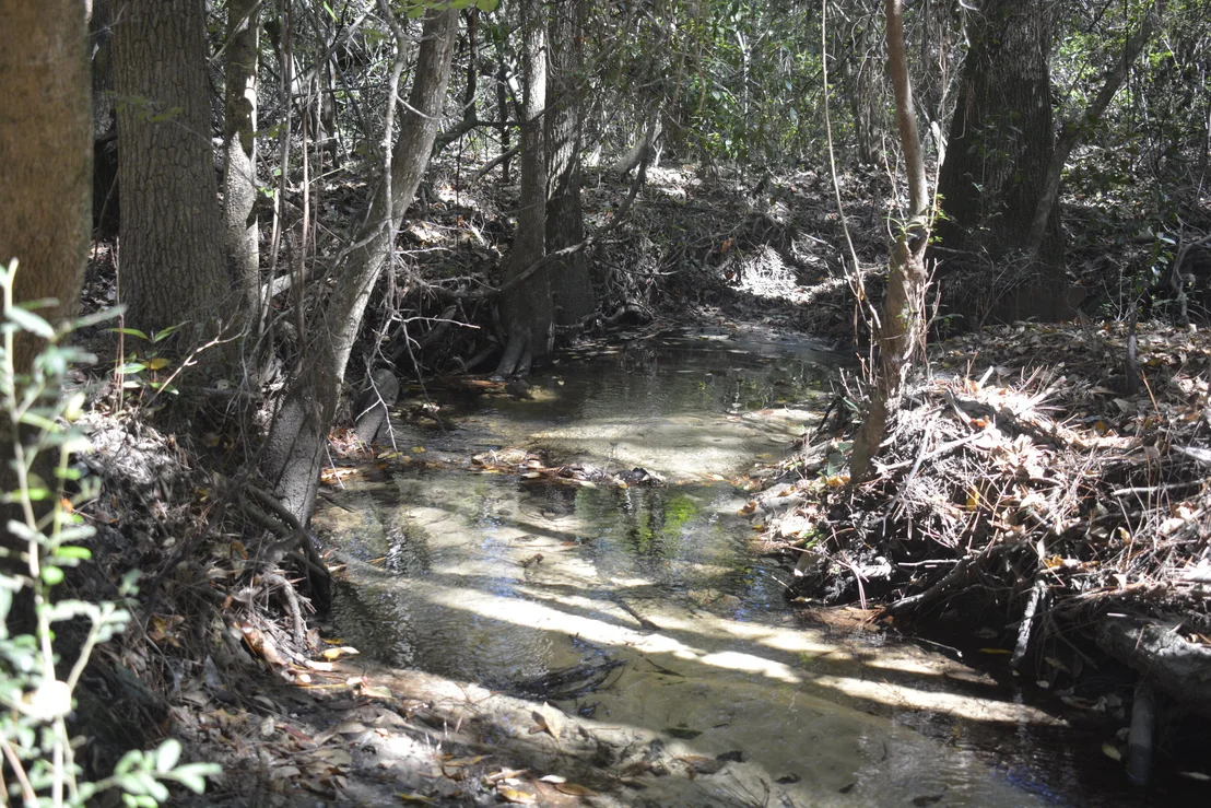 Photo of 2928 Aplin (33 ac.) Road