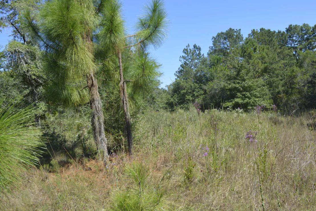 Photo of 2928 Aplin (33 ac.) Road