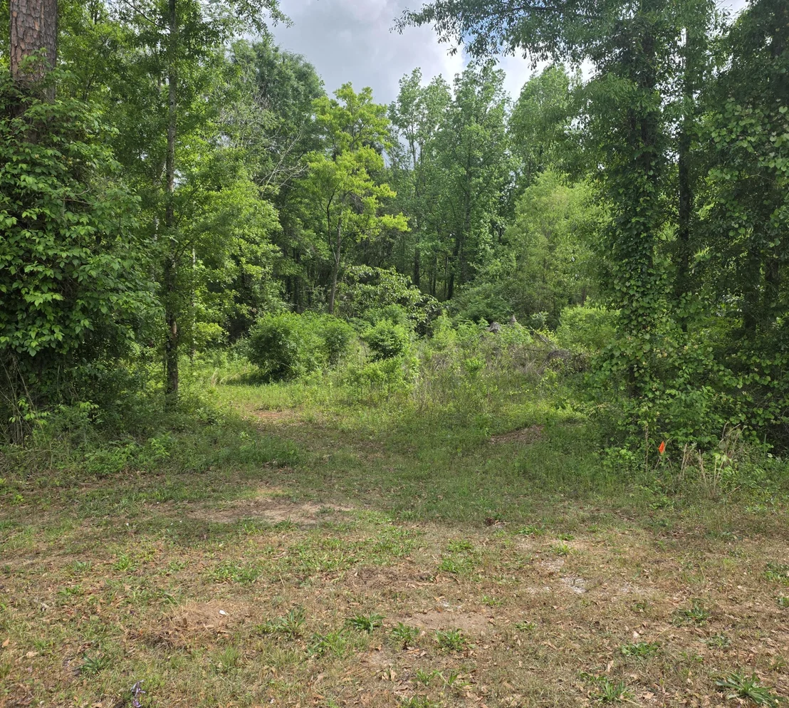 Photo of 2000 Molino Road