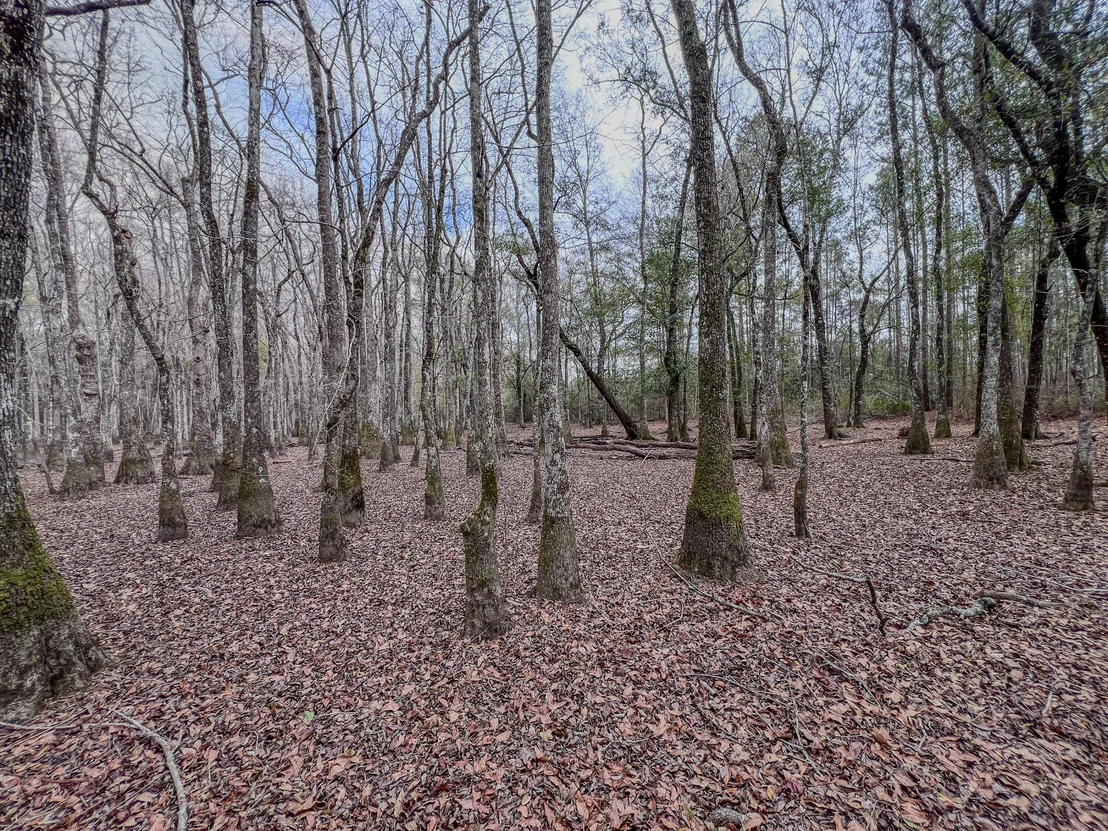 Photo of 4769 DAVIS RD