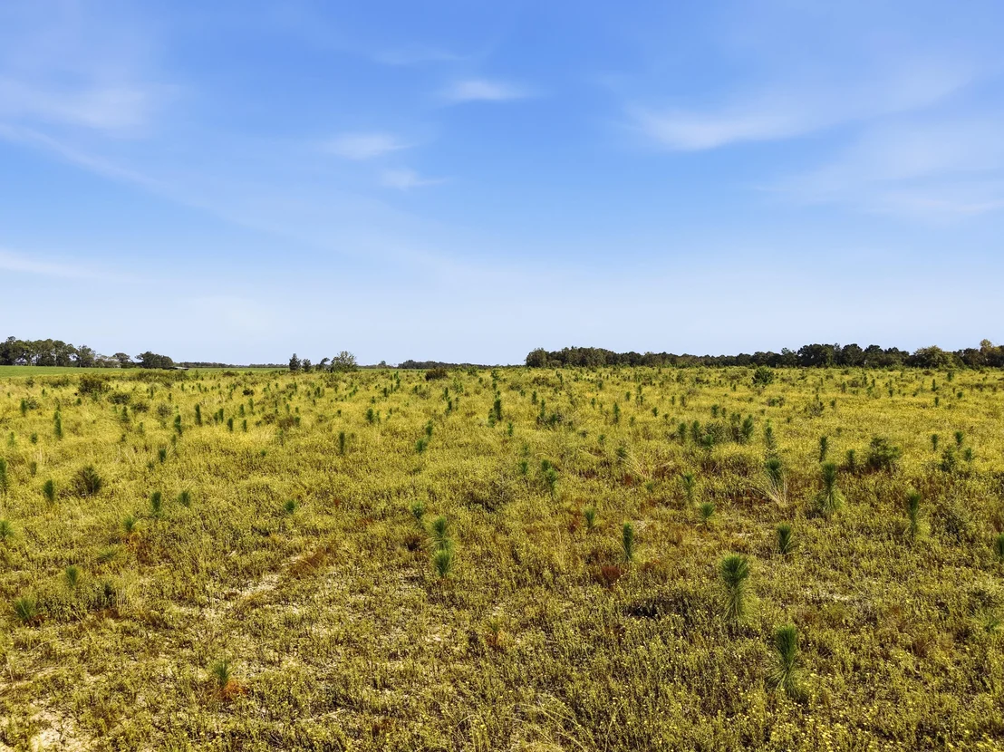 Photo of 10 Acres I Davidson Road