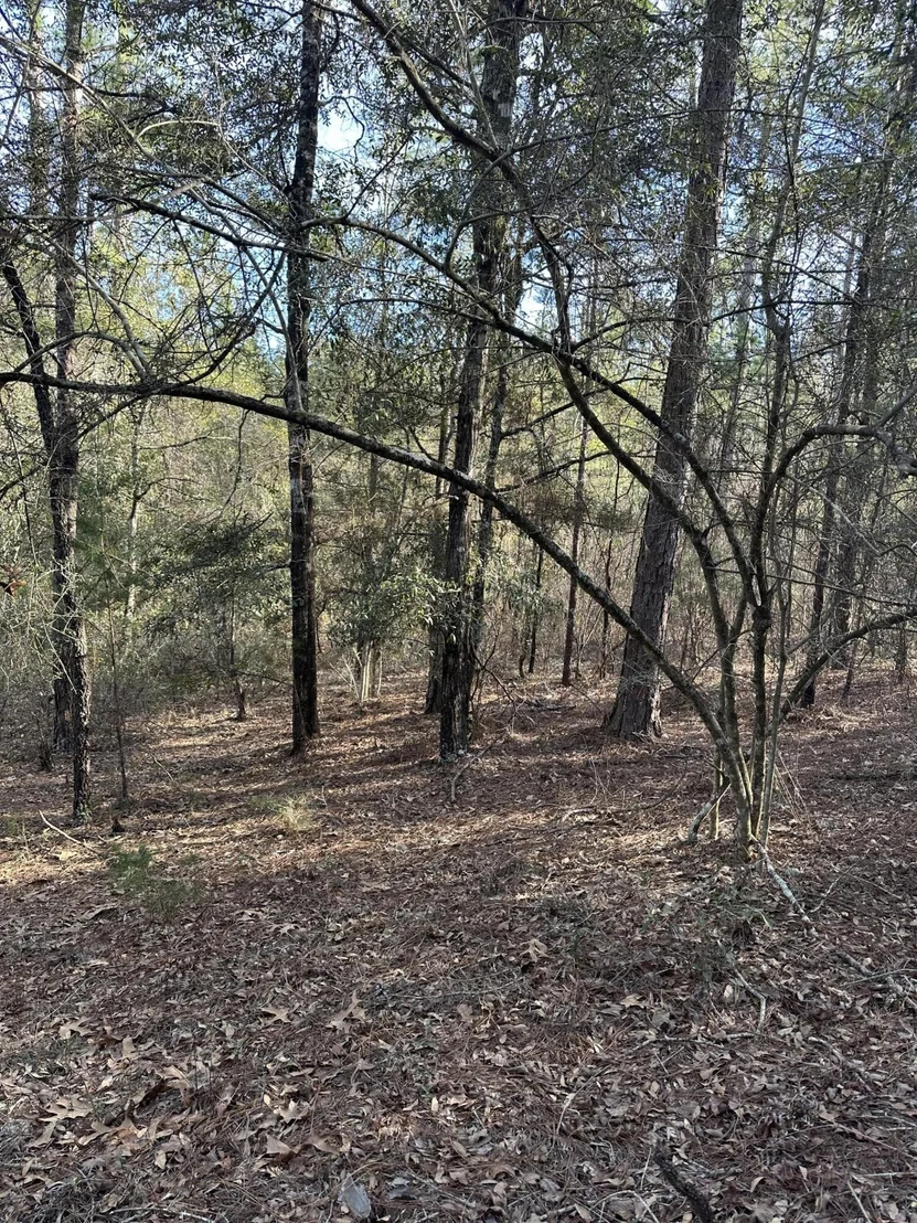 Photo of 5225 Kimp Road