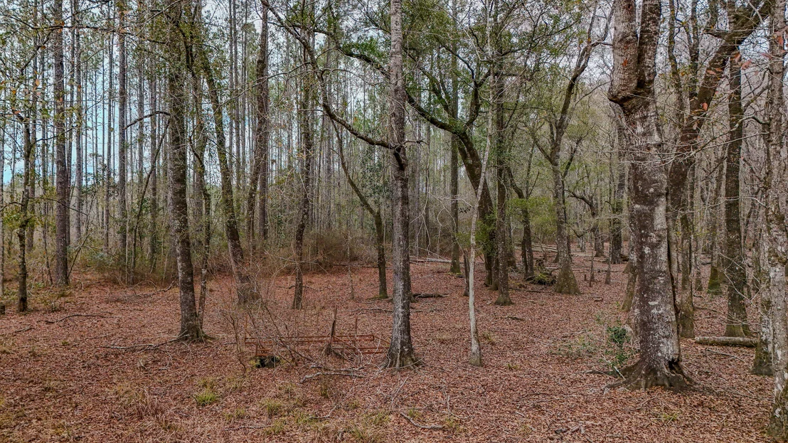 Photo of 4769 DAVIS RD