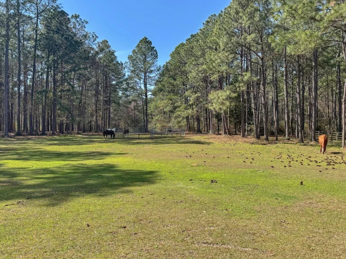 Photo of 1471 Hwy C 180